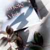 Vihko B5 | Välitä, varjele, visioi – Mantra Collection